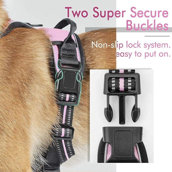 rabbitgoo Dog Harness 2 Leash