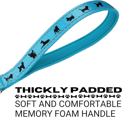 EcoBark Dog Leash - Soft & Reflective Comfort Training Leashes with Padded Handle - Strong Durable Heavy Duty - Training and Pulling for Small, Medium or Large Dogs (Sky Blue)