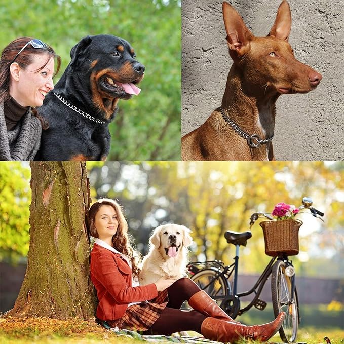 Best Dog Supplies Tidy Chain Dog Collar