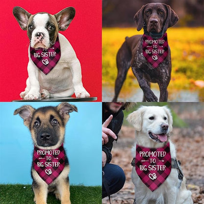 Promoted to Big Sister Dog Bandana Gender Reveal