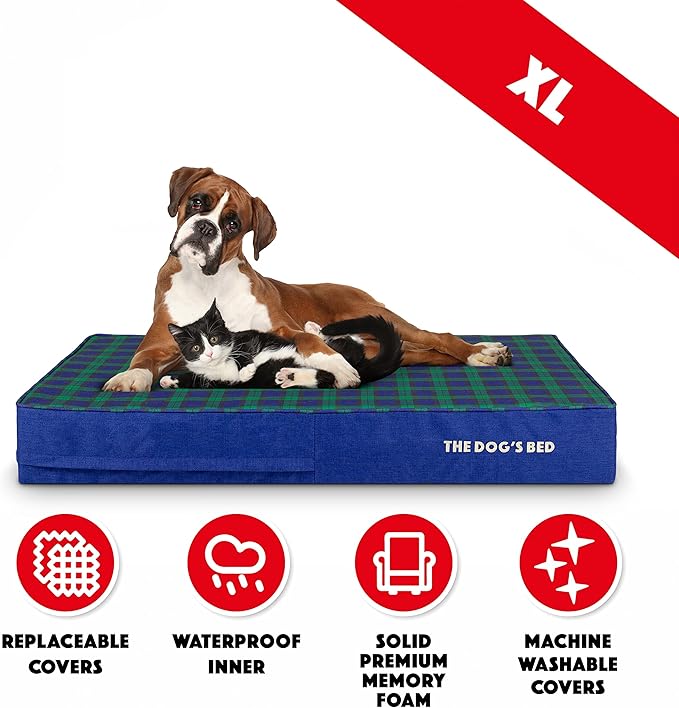 The Dog’s Bed Orthopedic Memory Foam Dog Bed 46x28, Pain