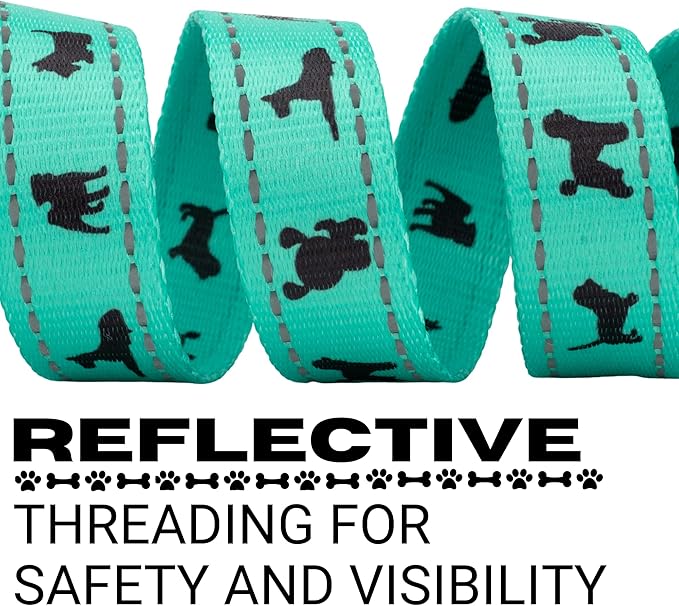 EcoBark Dog Leash - Soft & Reflective Comfort Training Leashes with Padded Handle - Strong Durable Heavy Duty - Training and Pulling for Small, Medium or Large Dogs (Turquoise)