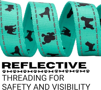 EcoBark Dog Leash - Soft & Reflective Comfort Training Leashes with Padded Handle - Strong Durable Heavy Duty - Training and Pulling for Small, Medium or Large Dogs (Turquoise)