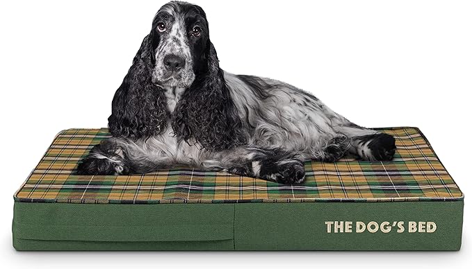 The Dog’s Bed Orthopedic Memory Foam Dog Bed 34x22, Pain