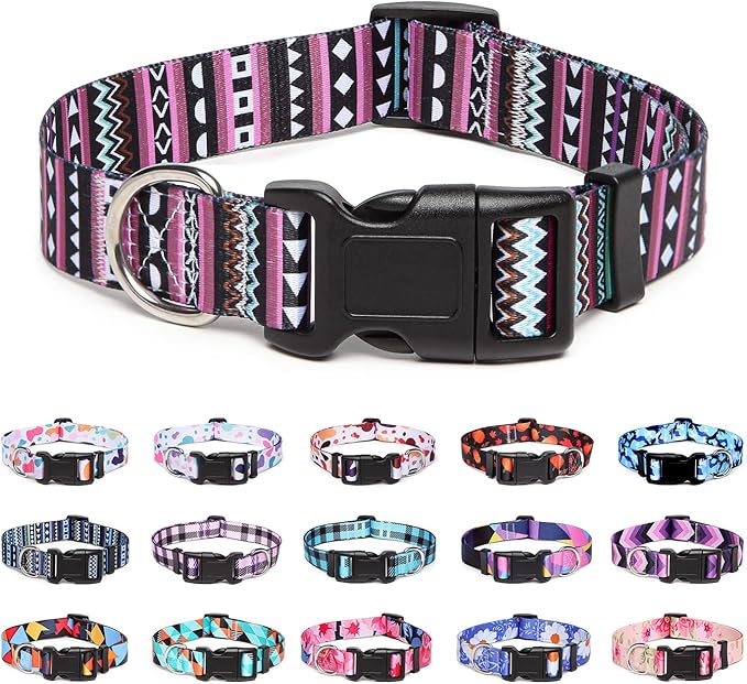 Adjustable Dog Collar with Patterns