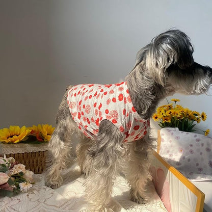 Summer Dog Cotton T Shirt Pet Tee Shirts