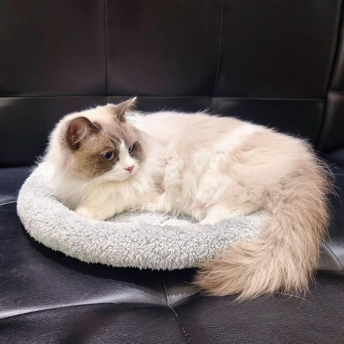 Enjoying Small Round Cat Bed Diameter 15.75" Round Cat Pillow Bed for Small Medium Dogs Cats Relying/Curling Sleep Warm Cat Cushion for Crates