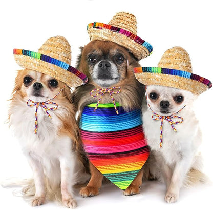 Dog Sombrero Hat Multicolor Sombrero Hats Straw Mexican