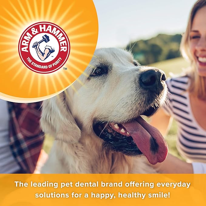 Arm & Hammer for Pets Dental Mints for Dogs, Fresh Breath | Get Fresh Doggie Breath Without Brushing, Way to Fresher Dog Breath | Chicken Flavor, 40 Count (Packaging may vary)