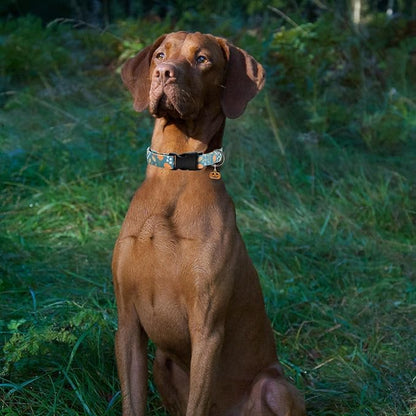 Halloween Pumpkins Dog Collar with Cute Pendant