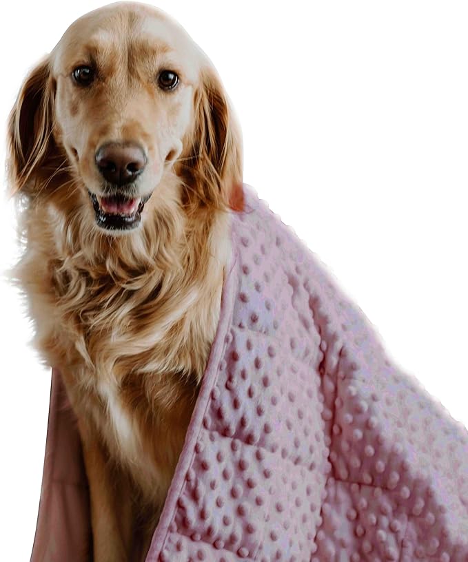 Calming Weighted Dog Blanket for Anxiety Relief