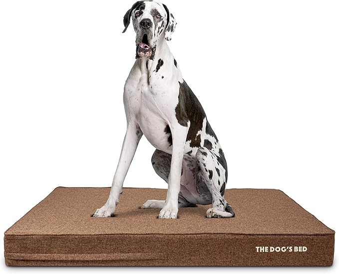 The Dog’s Bed Orthopedic Memory Foam Dog Bed 2XL Brown 54x36, Pain