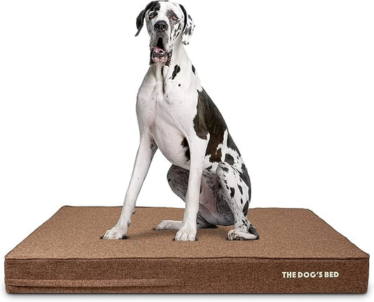 The Dog’s Bed Orthopedic Memory Foam Dog Bed 2XL Brown 54x36, Pain
