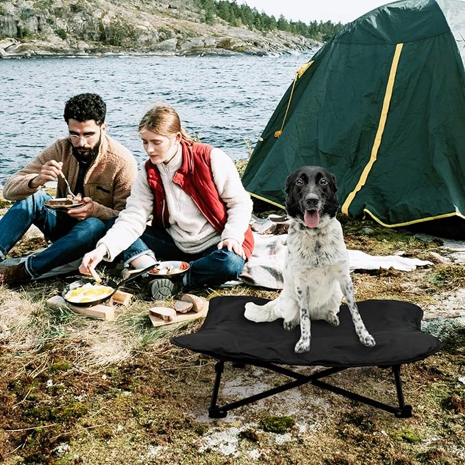 Elevated Dog Bed (36x36x12inch)