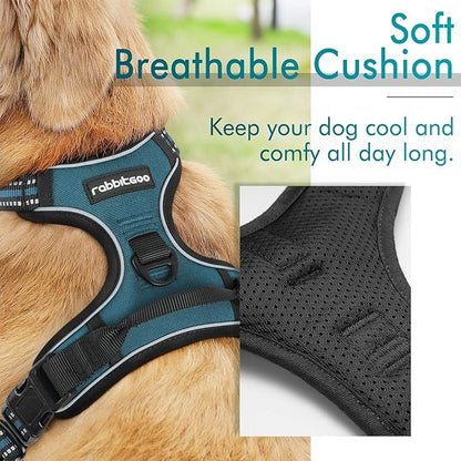 rabbitgoo Dog Harness, No-Pull Pet Harness with 2 Leash Clips, Adjustable Soft Padded Dog Vest, Reflective No-Choke Pet Oxford Vest with Easy Control Handle for Large Dogs, Blue Coral, L