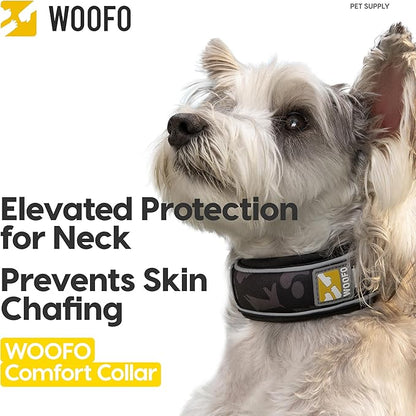 Premium Dog Collar