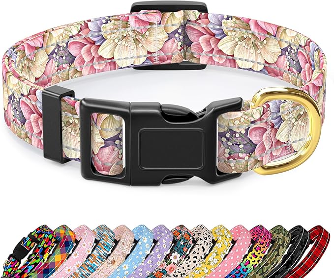 Reflective Dog Collar