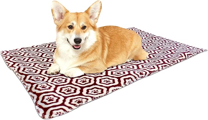 AKC 60"x50" Pet Blanket & 10" Pillow Set