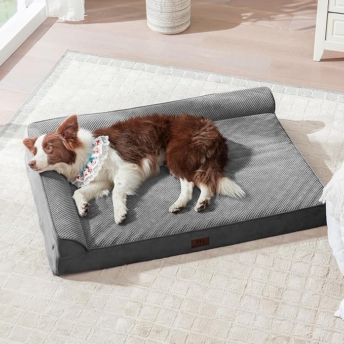 Orthopedic Dog Beds Large Sized Dog