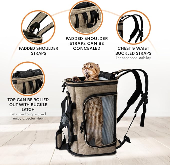 DCSP Pets Pet Carrier - Versatile Cat Carrier Converts to Backpack - Airline Approved Dog Bag Carrier with Mesh Widows - Suitable for Large Cats, Small Dogs - Soft Travel Carriers for Hiking, Walking