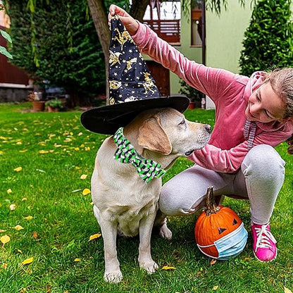 Elegant little tail Fall Dog Collar