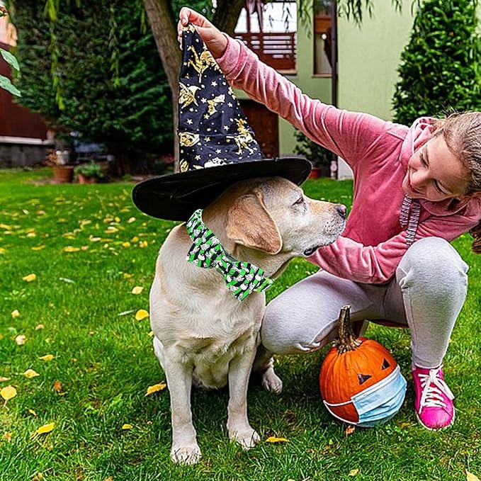 Elegant little tail Fall Dog Collar