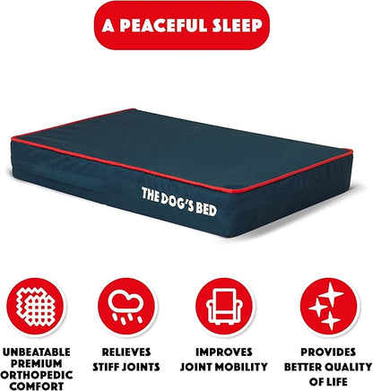 The Dog’s Bed Orthopedic Memory Foam Dog Bed 64x44, Pain