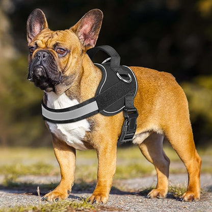 Haapaw Essential Dog Harness, No Pull Pet Vest with 3 Leash Clips, No Choke, Reflective, Adjustable and Padded, for Easy Walking and Training for Medium Dogs(M, Black)