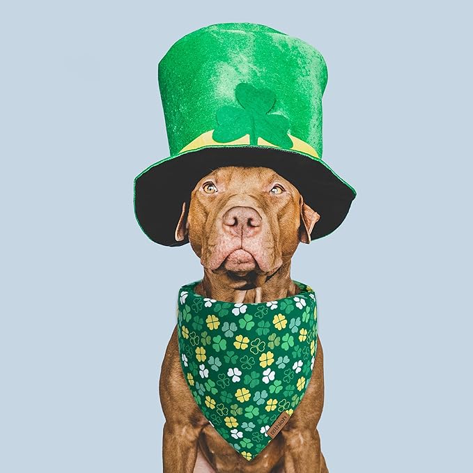 St. Patrick's Day Dog Bandana 2 Pack