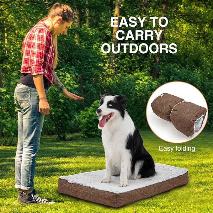 Dog Beds 20 lbs