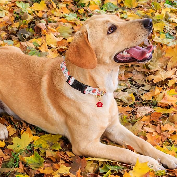 Cotton Handmade Dog Collar Cute and Distinctive Patterns