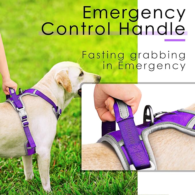 ThinkPet No Pull Harness Breathable Sport Harness with Handle-Dog Harnesses Reflective Adjustable for Medium Large Dogs,Back/Front Clip for Easy Control L Neon Purple