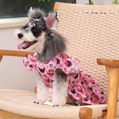 CuteBone Dog Dress Princess Puppy Birthday Dresses FX02S