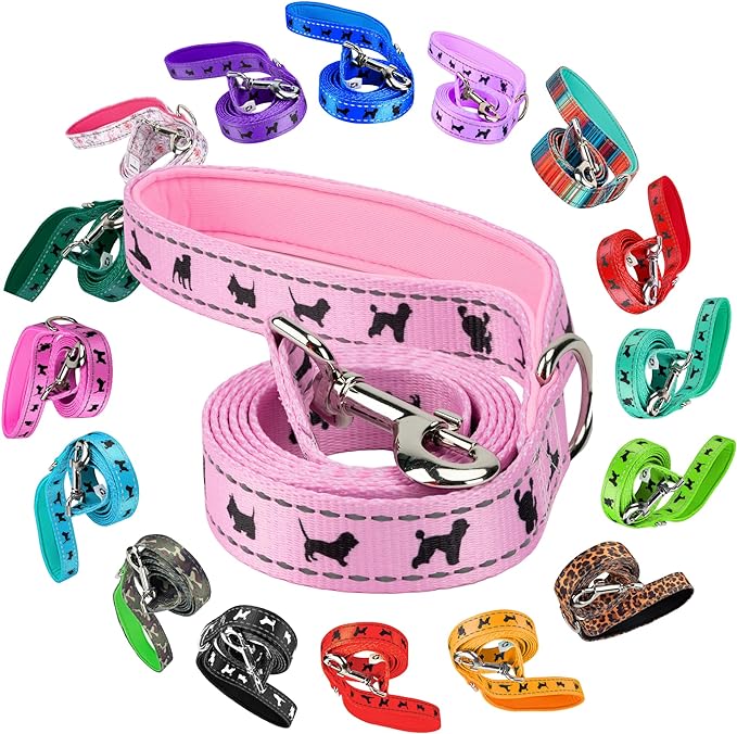 EcoBark Dog Leash - 4 FT / 5 FT / 6 FT Reflective Dog Leash- Eco-Bright Dog Leashes with Padded Handle - Strong Heavy Duty Dog Leash - Nylon Dog Leash for Medium and Large Dogs (Baby Pink Dog Leash)