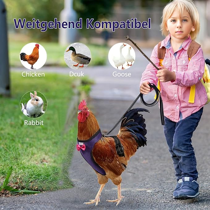 Chicken Harness Hen Size with 5.5ft Matching Leash – Adjustable, Resilient, Comfortable, Breathable, Large Size, Suitable for Chicken Weighing About 6.6 Pound,Purple