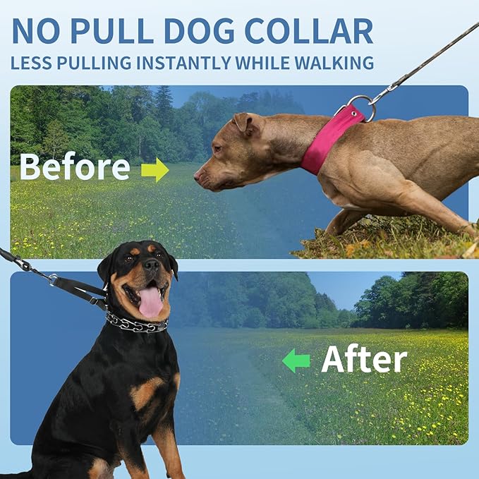Mayerzon Martingale No Pull Collar for Large Medium Small Dogs Pitbull German Shepherd Doberman That Pull