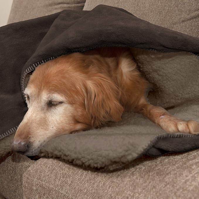 Furhaven Waterproof & Self-Warming Throw Blanket for Dogs & Indoor Cats
