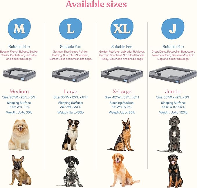 Orthopedic Sofa Dog Bed