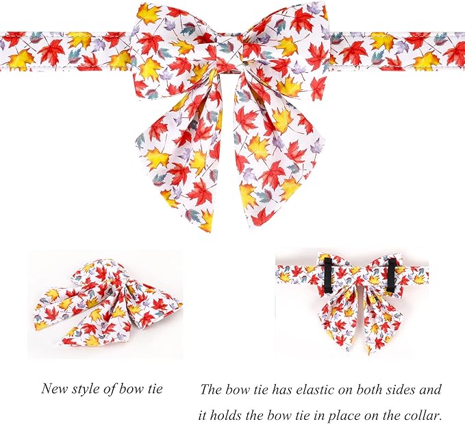 Lionet Paws Dog Collar with Bowtie 16-26in