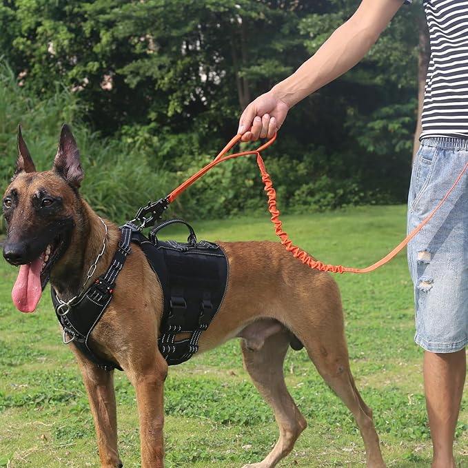 ICEFANG Tactical Dog Leash K9 Training 2 Control 6 FT)