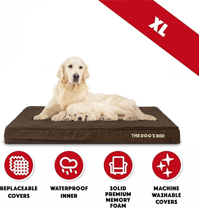 The Dog’s Bed Orthopedic Memory Foam Dog Bed