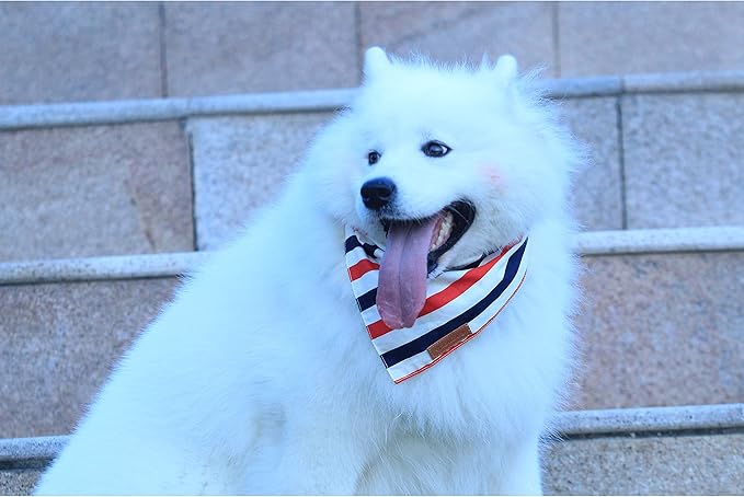 Realeaf 4th of July Dog Bandanas 2 Pack