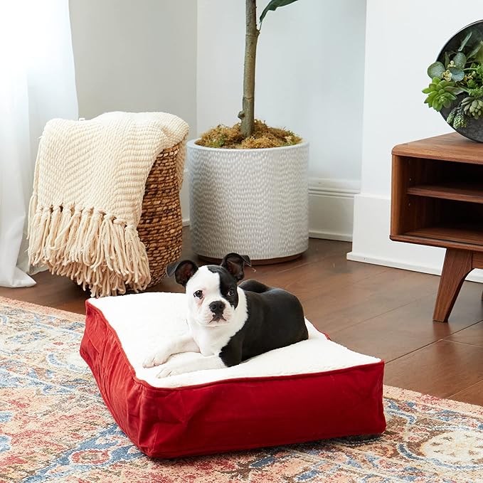 South Pine Porch Buddy Rectangle Pillow Style Dog Bed (24" x 18")