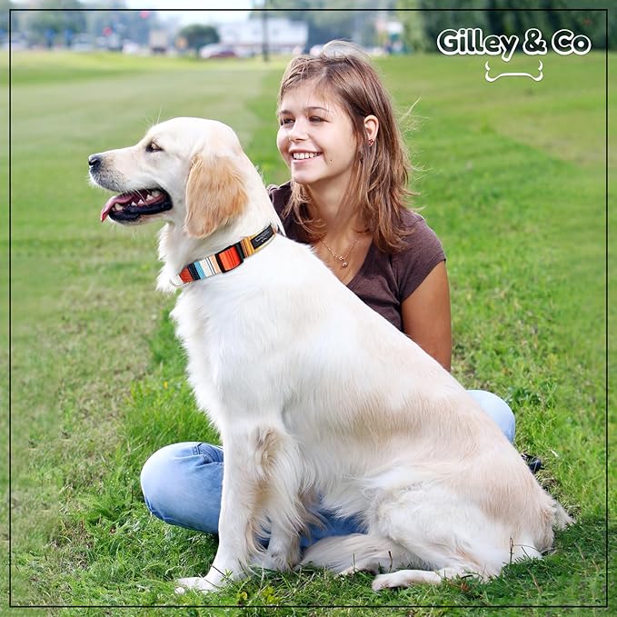 Gilley&Co Dog Collar and Leash Set 8 Designs, 4 Sizes
