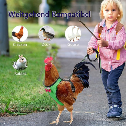 Chicken Harness Hen size With 6-foot Matching belt - Adjustable, elastic, Comfortable, Breathable, Large Size Suitable for Chicken, Duck or Goose Suitable for Weight about 4.9-6.8 Pounds, Green