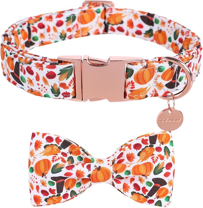 DOGWONG Fall Dog Collar with Bowtie
