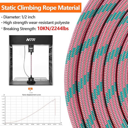 NTR Long Leash 15 FTDog