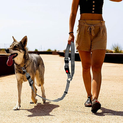 YAODHAOD Dog Seat Belts