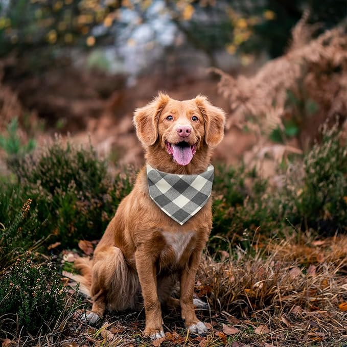 Bubblepup Dog Bandanas