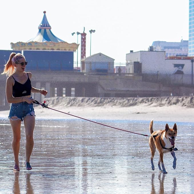 Rope Dog Leash with Comfortable Hand Grip 6.5 FT